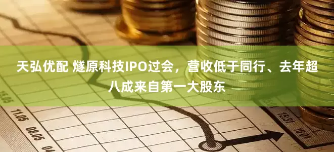 天弘优配 燧原科技IPO过会，营收低于同行、去年超八成来自第一大股东